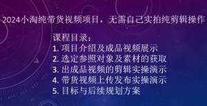 2024小淘纯带货视频项目，无需自己实拍纯剪辑操作-大东资源库