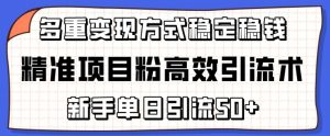 精准项目粉高效引流术，新手单日引流50+，多重变现方式稳定赚钱【揭秘】-大东资源库