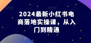2024最新小红书电商落地实操课，从入门到精通-大东资源库