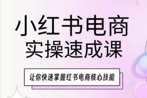小红书电商实操速成课，让你快速掌握红书电商核心技能-大东资源库