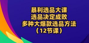暴利选品大课：选品决定成败，教你多种大爆款选品方法(12节课)-大东资源库