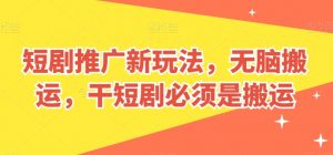 短剧推广新玩法，无脑搬运，干短剧必须是搬运【揭秘】-大东资源库