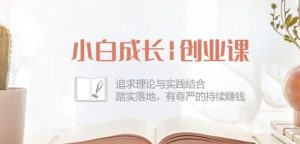 小白成长创业课：追求理论与实践结合，踏实落地，有尊严的持续赚钱-42节-大东资源库