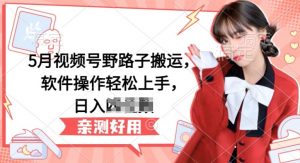 5月视频号野路子搬运，软件操作轻松上手，日入三位数【揭秘】-大东资源库