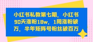 小红书私教第七期，小红书90天涨粉18w，1周涨粉破万，半年矩阵号粉丝破百万-大东资源库