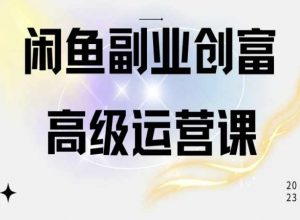 闲鱼电商运营高级课程，一部手机学会闲鱼开店赚钱-大东资源库