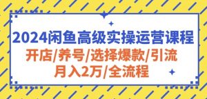 2024闲鱼高级实操运营课程：开店/养号/选择爆款/引流/月入2万/全流程-大东资源库