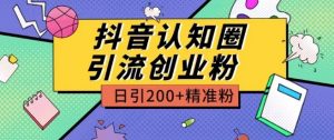 外面收费3980抖音认知圈引流创业粉玩法日引200+精准粉【揭秘】-大东资源库