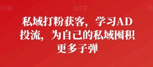 私域打粉获客，学习AD投流，为自己的私域囤积更多子弹-大东资源库