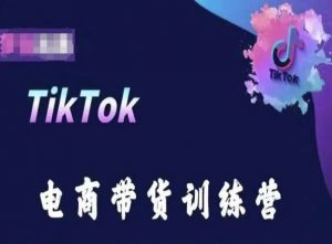 TikTok电商带货训练营，跟随时代潮流，跨境掘金-大东资源库