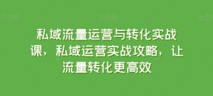 私域流量运营与转化实战课，私域运营实战攻略，让流量转化更高效-大东资源库