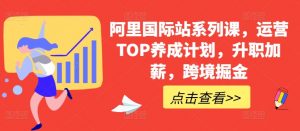 阿里国际站系列课，运营TOP养成计划，升职加薪，跨境掘金-大东资源库