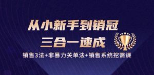 从小新手到销冠 三合一速成：销售3法+非暴力关单法+销售系统挖需课 (27节)-大东资源库