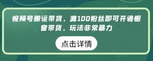 视频号搬运带货，满100粉丝即可开通橱窗带货，玩法非常暴力【揭秘】-大东资源库