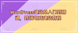 WordPress建站从入门到精通，跨境电商建站教程-大东资源库