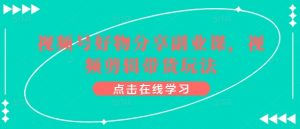 视频号好物分享副业课，视频剪辑带货玩法-大东资源库