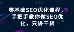 零基础SEO优化课程，手把手教你做SEO优化，只讲干货-大东资源库