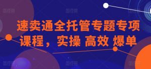 速卖通全托管专题专项课程，实操 高效 爆单-大东资源库