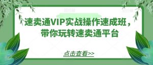 速卖通VIP实战操作速成班，带你玩转速卖通平台-大东资源库