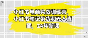 小红书电商实战训练营，小红书笔记带货和无人直播，24年新课-大东资源库