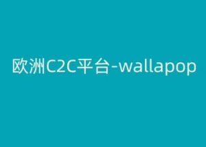 欧洲C2C平台-wallapop-kim跨境电商教程-大东资源库