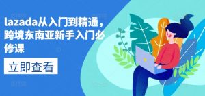 lazada从入门到精通，跨境东南亚新手入门必修课-大东资源库