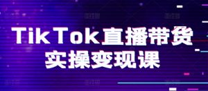 TikTok直播带货实操变现课：系统起号、科学复盘、变现链路、直播配置、小店操作流程、团队搭建等。-大东资源库