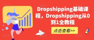 Dropshipping基础课程，Dropshipping从0到1全教程-大东资源库