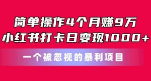 简单操作4个月赚9w，小红书打卡日变现1k，一个被忽视的暴力项目【揭秘】-大东资源库