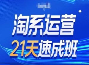 淘系运营24天速成班第28期最新万相台无界带免费流量-大东资源库