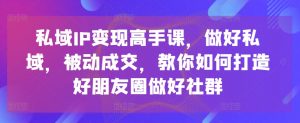 私域IP变现高手课，做好私域，被动成交，教你如何打造好朋友圈做好社群-大东资源库