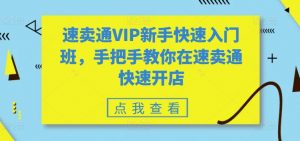 速卖通VIP新手快速入门班，手把手教你在速卖通快速开店-大东资源库
