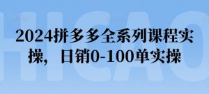 2024拼多多全系列课程实操，日销0-100单实操【必看】-大东资源库