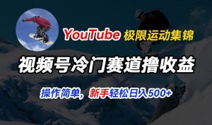 视频号冷门赛道撸收益，YouTube搬运极限运动集锦，暴力起号，操作简单流量高，轻松日入5张【揭秘】-大东资源库