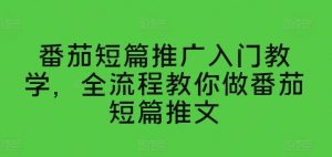 番茄短篇推广入门教学，全流程教你做番茄短篇推文-大东资源库