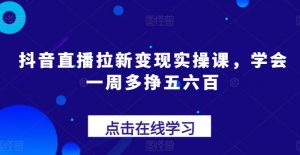 抖音直播拉新变现实操课，学会一周多挣五六百-大东资源库
