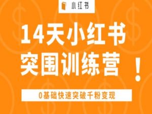 14天小红书突围训练营 ，0基础快速突破千粉变现-大东资源库