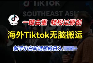 海外Tiktok短视频无脑搬运，一键去重轻松过原创，新手小白听话照做日入几张【揭秘】-大东资源库