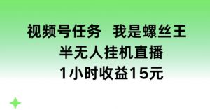 视频号任务，我是螺丝王， 半无人挂机1小时收益15元【揭秘】-大东资源库