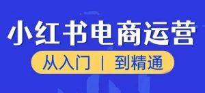 小红书电商运营课，从入门到精通，带你抓住又一个赚钱风口-大东资源库