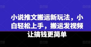 小说推文搬运新玩法，小白轻松上手，搬运发视频让搞钱更简单-大东资源库