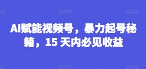 AI赋能视频号，暴力起号秘籍，15 天内必见收益【揭秘】-大东资源库