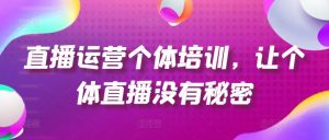 直播运营个体培训，让个体直播没有秘密，起号、货源、单品打爆、投流等玩法-大东资源库