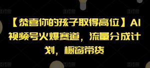 【恭喜你的孩子取得高位】AI视频号火爆赛道，流量分成计划，橱窗带货【揭秘】-大东资源库