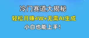 冷门赛道大揭秘,轻松月赚1W+无需AI生成,小白也能上手【揭秘】-大东资源库