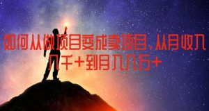 如何从做项目变成卖项目，从月收入几千到月入几万【揭秘】-大东资源库