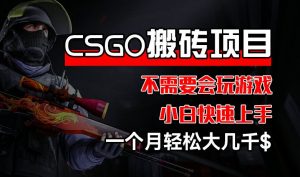 CSGO 装备搬砖项目，操作简单，不需要会玩游戏，小白也能快速上手，一个月轻松大几千【揭秘】-大东资源库