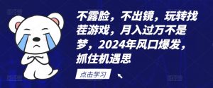 不露脸，不出镜，玩转找茬游戏，月入过万不是梦，2024年风口爆发，抓住机遇【揭秘】-大东资源库