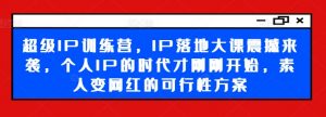 超级IP训练营，IP落地大课震撼来袭，个人IP的时代才刚刚开始，素人变网红的可行性方案-大东资源库