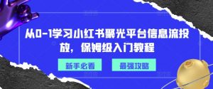 从0-1学习小红书聚光平台信息流投放，保姆级入门教程-大东资源库